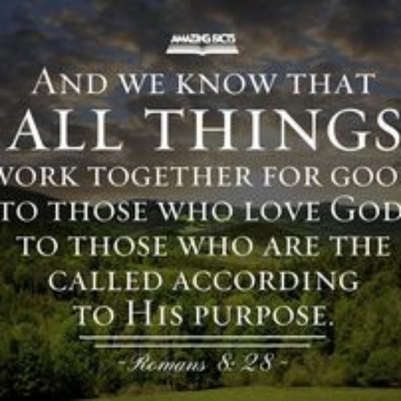 Posh Ambassador! - Picture 2 of 6